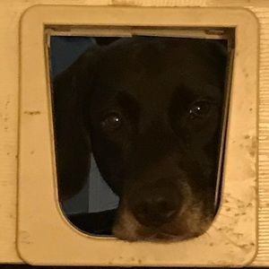 Meet your Posher, Sherry